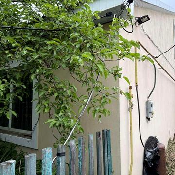 Продам гарний будинок в Основянскому районі на Одесской