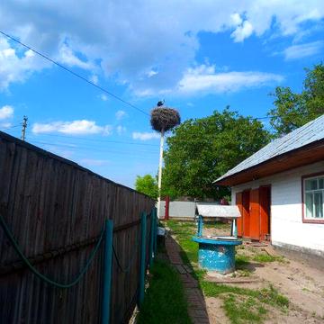 Будинок в Білозірї
