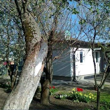 Будинок в місті, зручне розташування