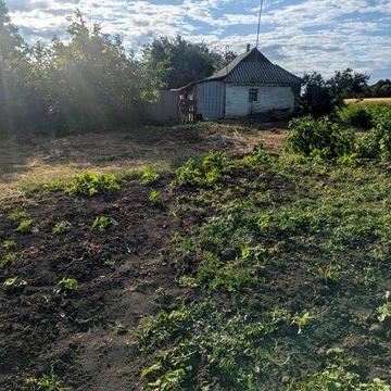 Будинок Полт р-н с.Бречківка