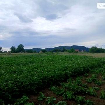 Продаж 3к Дім Долішнянка вулиця