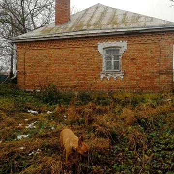 Продається будинок с. Чечелівка.