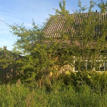 Продам приватний будинок в селі Великий Щимель Сновської МТГ