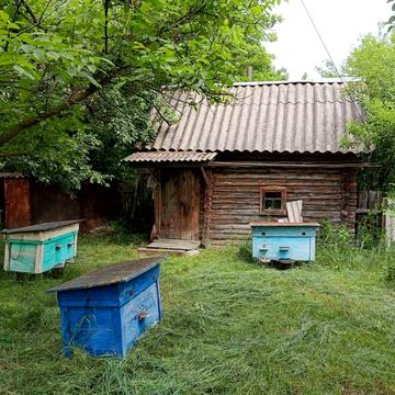 Продаж будинку в селі Хочева. Поряд ліс і річка  ( земля приватизована ) +380963366024