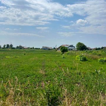 Наукова