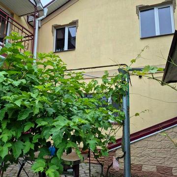 Продается два дома на одном участке АНД район Днепр