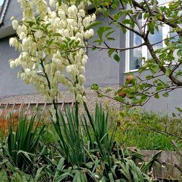Продам двоповерховий дім  з можливістю прописки