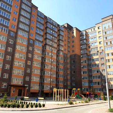 1к квартира в новострое, Александровский р-н, аренда