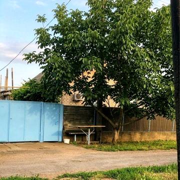 Продається будинок  з землею 30сот.