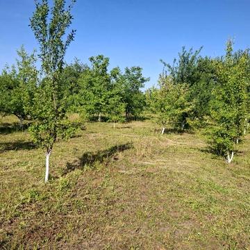 Продається дім 92 квадратних метри ,територія 70 сотих