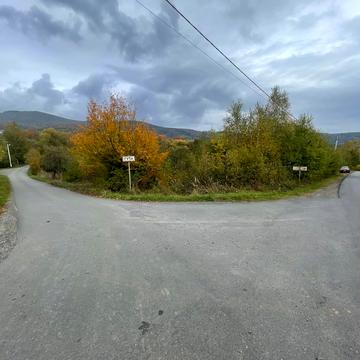 Злата Гута