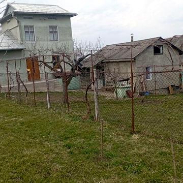 Продається житловий будинок з господарськими будівлями та спорудами