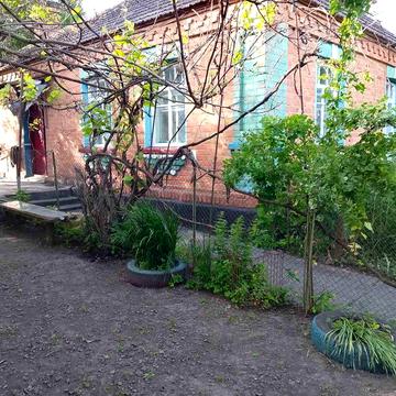 Продам будинок в селі Пиків