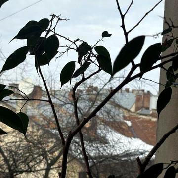Продаж 2- х кімн квартири вул. Глібова 10