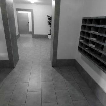 Здається 1-кім квартира в Хортицькому районі.