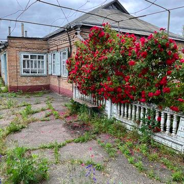 продається будинок