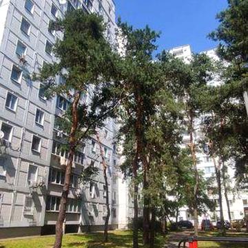 метро Лісова - Чернігівська, Мілютенко 17 В.