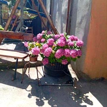 Квартира с отличным потенциалом на Молдаванке