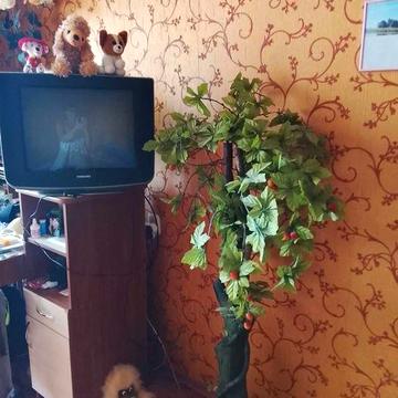 Сдам  1 комнатную квартиру на Левом берегу, 4 микрорайон