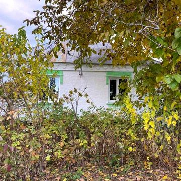 Будинок в с. Яблунівка Білоцерківського р-ну Київської обл.