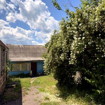 СНИЖЕНИЕ ЦЕНЫ! Продажа дома Новый Мерчик, Богодуховский район, Харьковская область