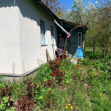 Продам будинок село Долинівка Житомирська обл. Біля н.п. Брусилів