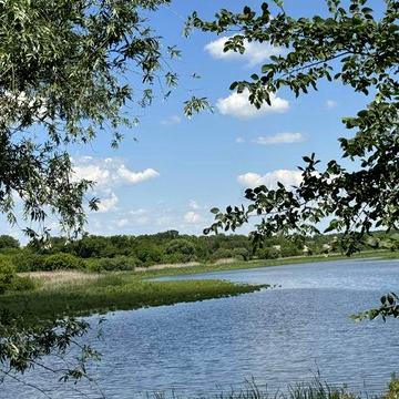 Шандра будинок Обухівський район