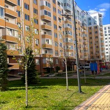 УВАГА НАЙДЕШЕВША!!! Велика 2к квартира! ГАЗ! Штукатурка! Стяжка!