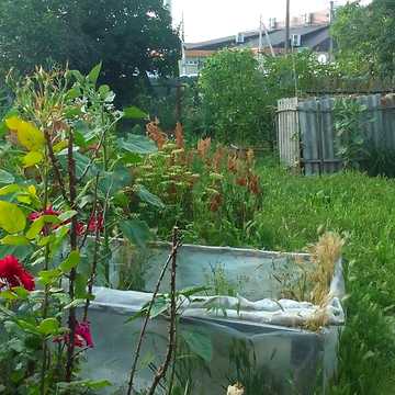 Продаж 4к Дім Бучми вулиця