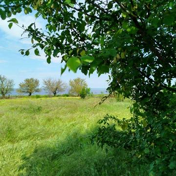 Продам будинок біля моря
