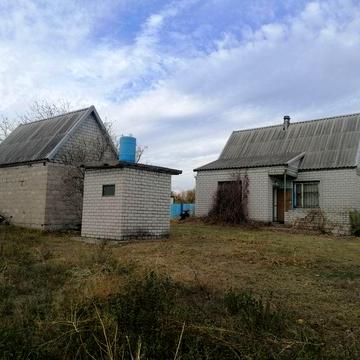Дом Куриловка, 100 мет. Лес