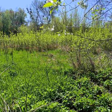Продам будинок у гарному затишному місці