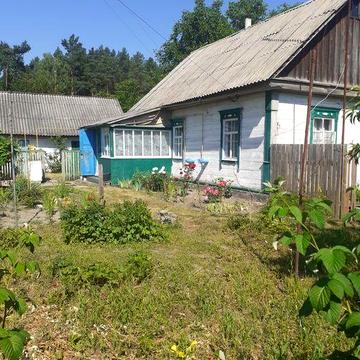 Продам будинок с. Забуяння