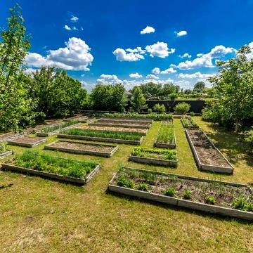 Продається затишний будинок у селі Колонщина з ділянкою 12 соток.