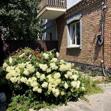 Продам 1/2 дома. рядом парк  ул. Жмеринська.