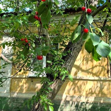 Продам квартиру на землі в центрі м.Самар