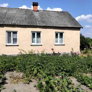 Продам будинок у селі Шевченко