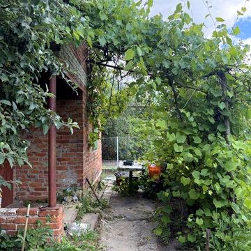 Дача кооператив Озерний р-н Баранівки
