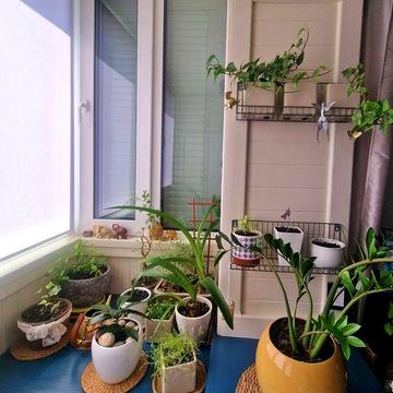 Продаж 2-х кімнатної квартири вул.Кубанської України, Деснянський р-н, Лісовий масив, метро Лісова, Чернігівська