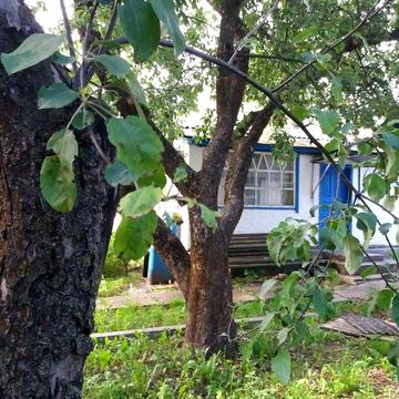 Будинок для проживання 4 кімнати, з садибою для ведення господарства. Продаж, або обмін.