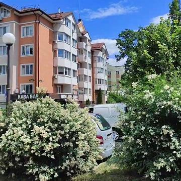 None 54900.0 USD