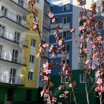 Оренда 2 км квартира ЖК Паркове Містечко по вулиці Національної Гвардії