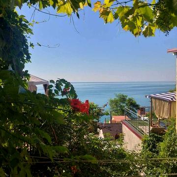 Продам курень в кооперативе Видрада, рядом Совиньон