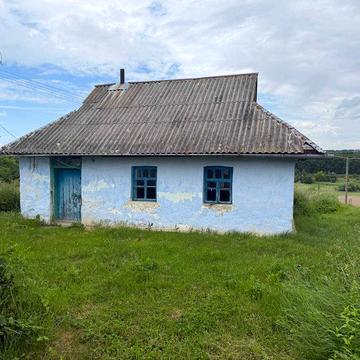 Дім з готовим малиновим бізнесом