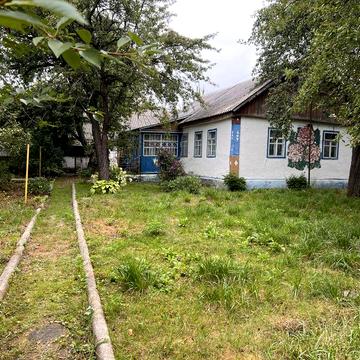 Будинок,дача,приватна садиба,с.Степанівка,Ємільчине.
