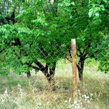 Продам дом в селе Николай-Поле