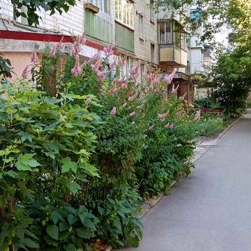 3-и кімн. під кап. ремонт. Поверх 3/5. Бучанськ. р-н, Немішаєве, Центр