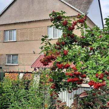 Продаж просторого цегляного будинку, 24 сотки  смт Дунаївці, Кам’янець-Подільський район
