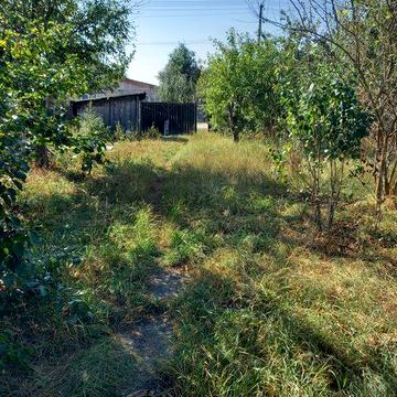 Ділянка та деревяний будинок в селі
