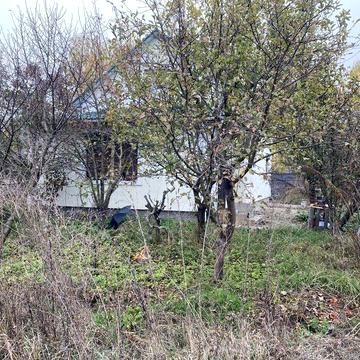 Продам дачу, 15 км від Киева, новий будинок, 10 соток Раківка